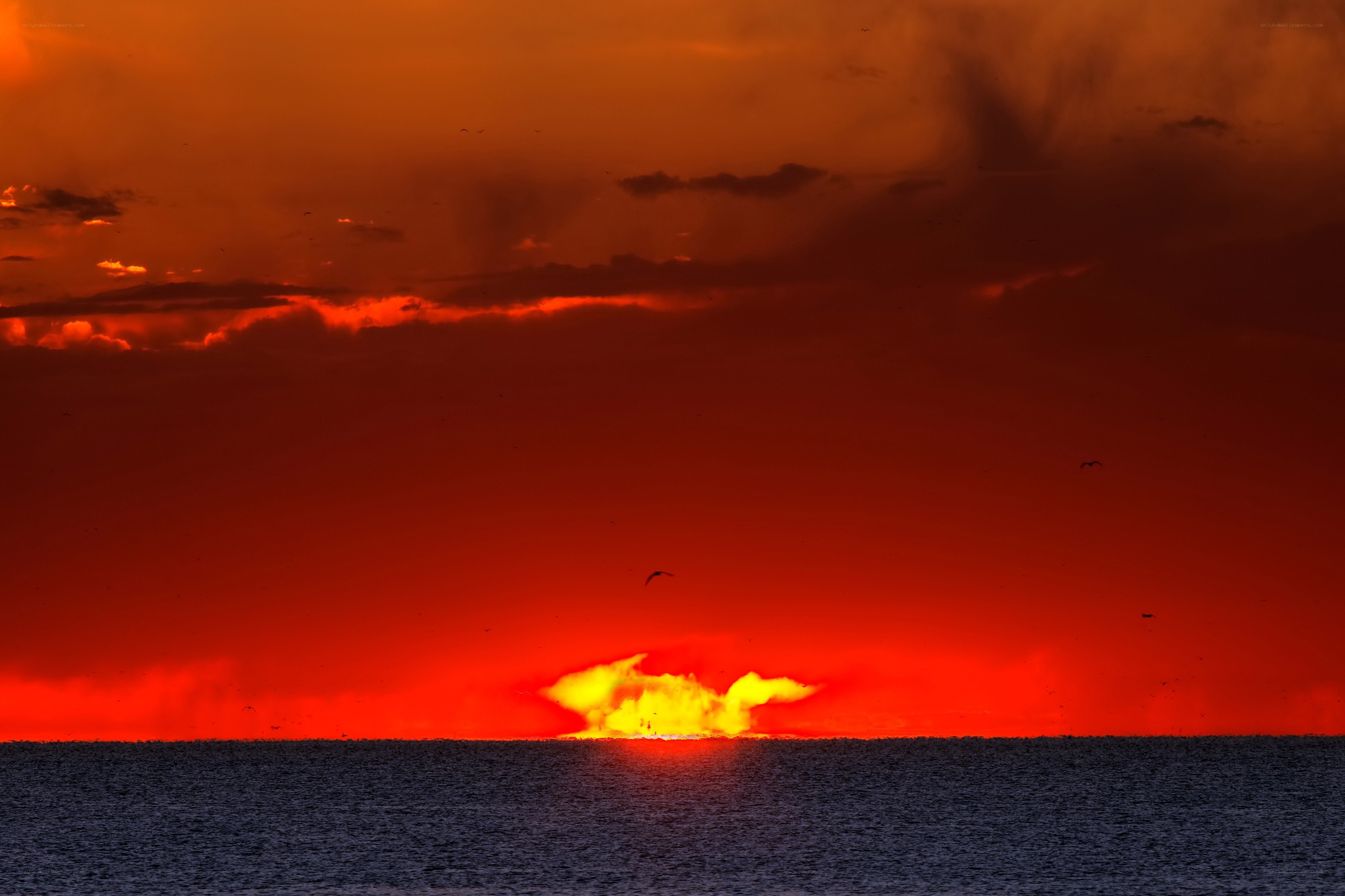 Vibrant sunset over the sea