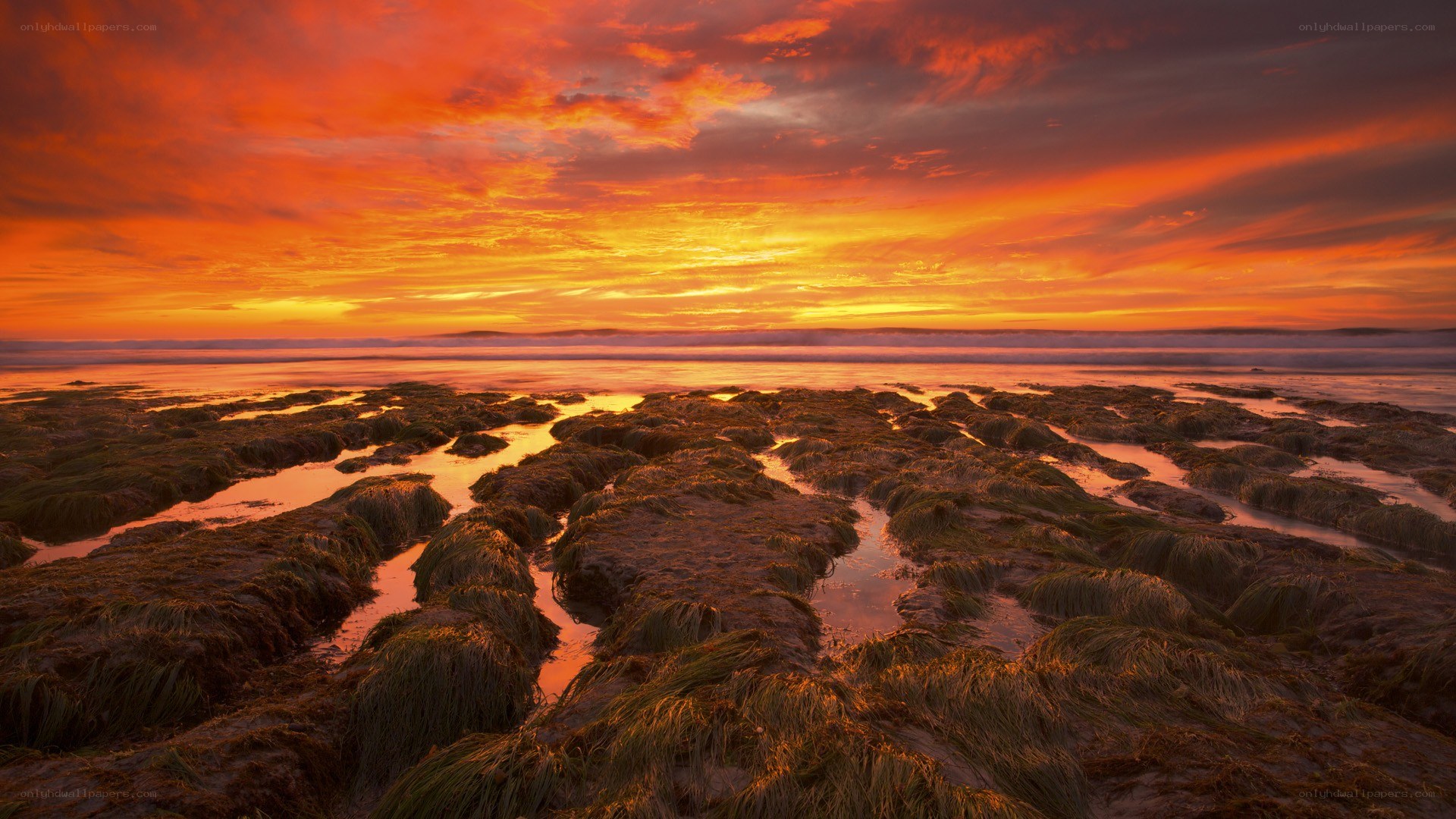 Vibrant sunset over tidal pools