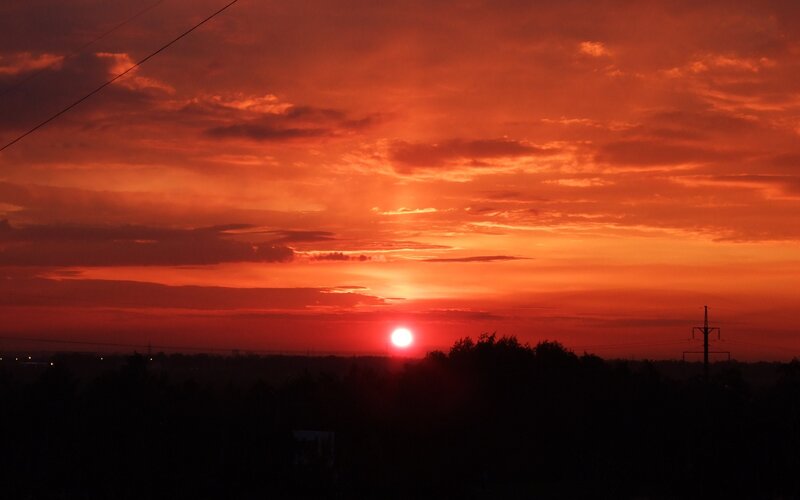 Vibrant sunset over trees