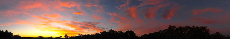 vibrant sunset over trees