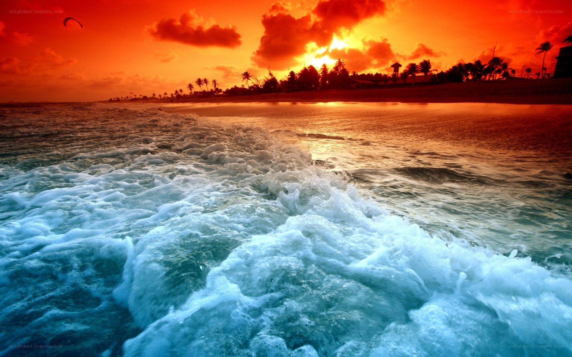 Vibrant sunset over tropical beach
