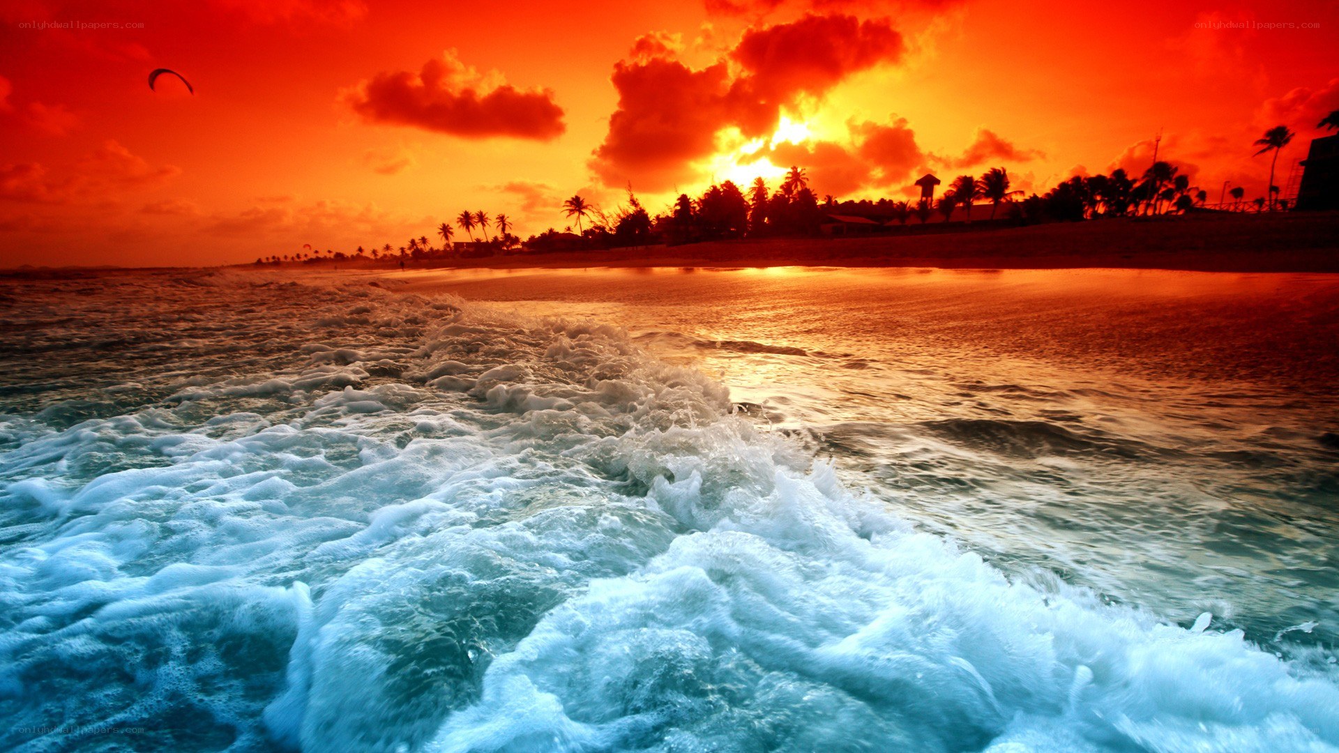 Vibrant sunset over tropical beach