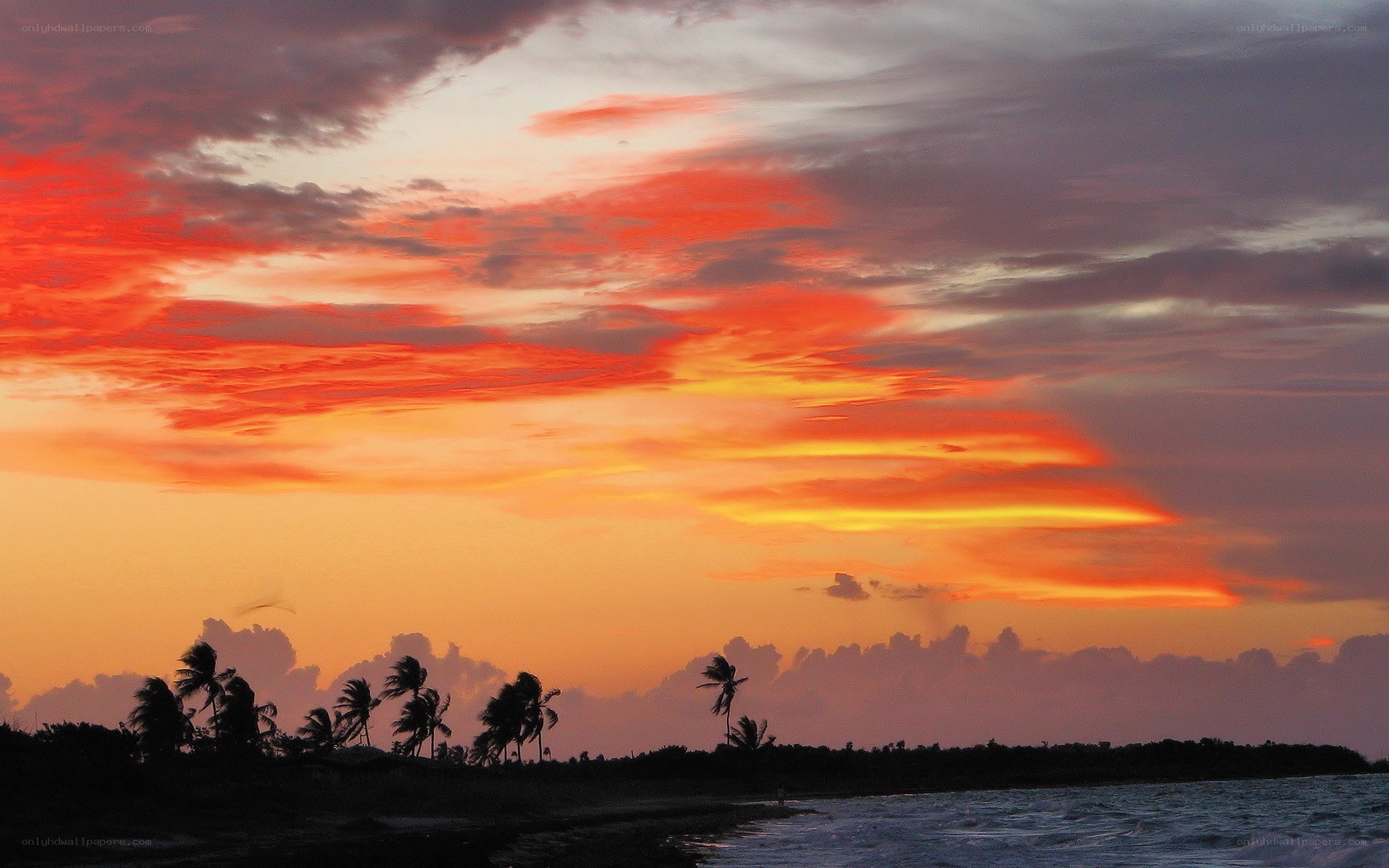 Vibrant sunset over tropical beach