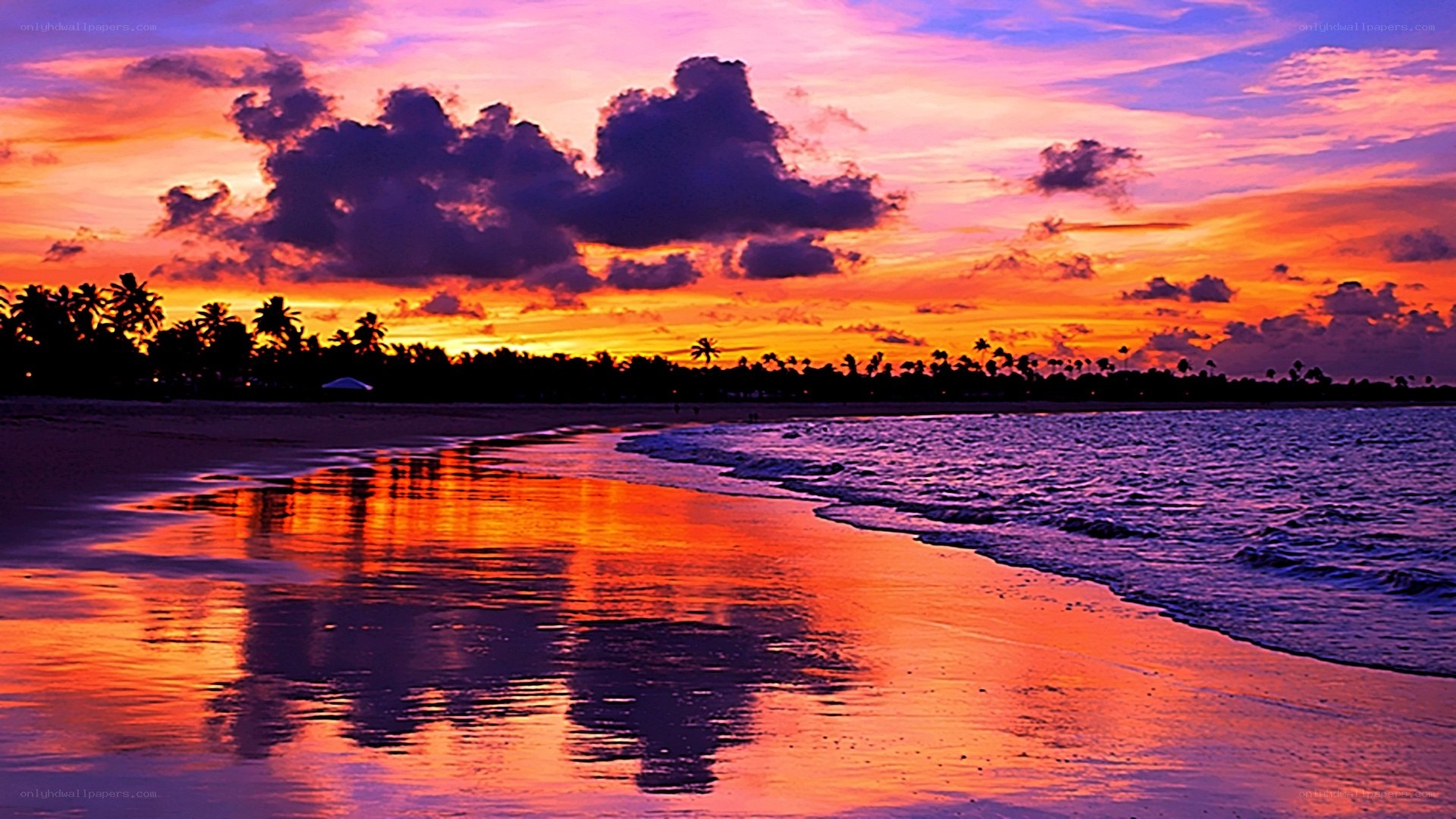 Vibrant sunset over tropical beach