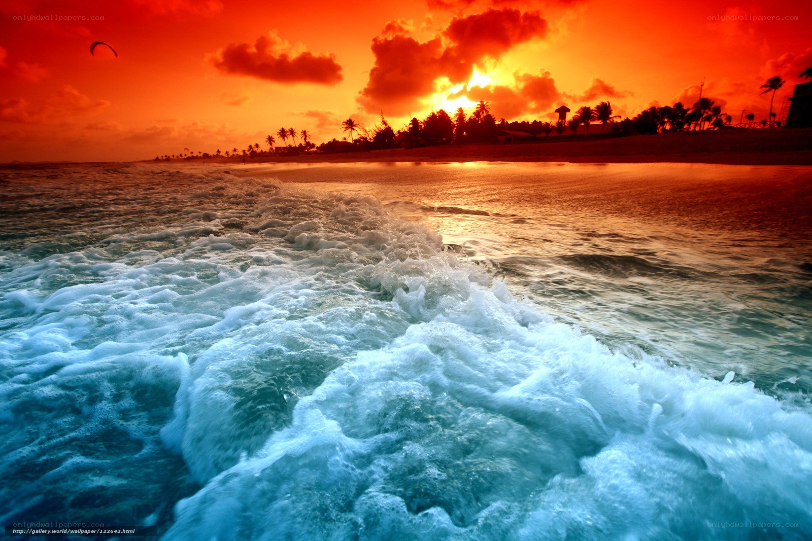 Vibrant sunset over tropical beach