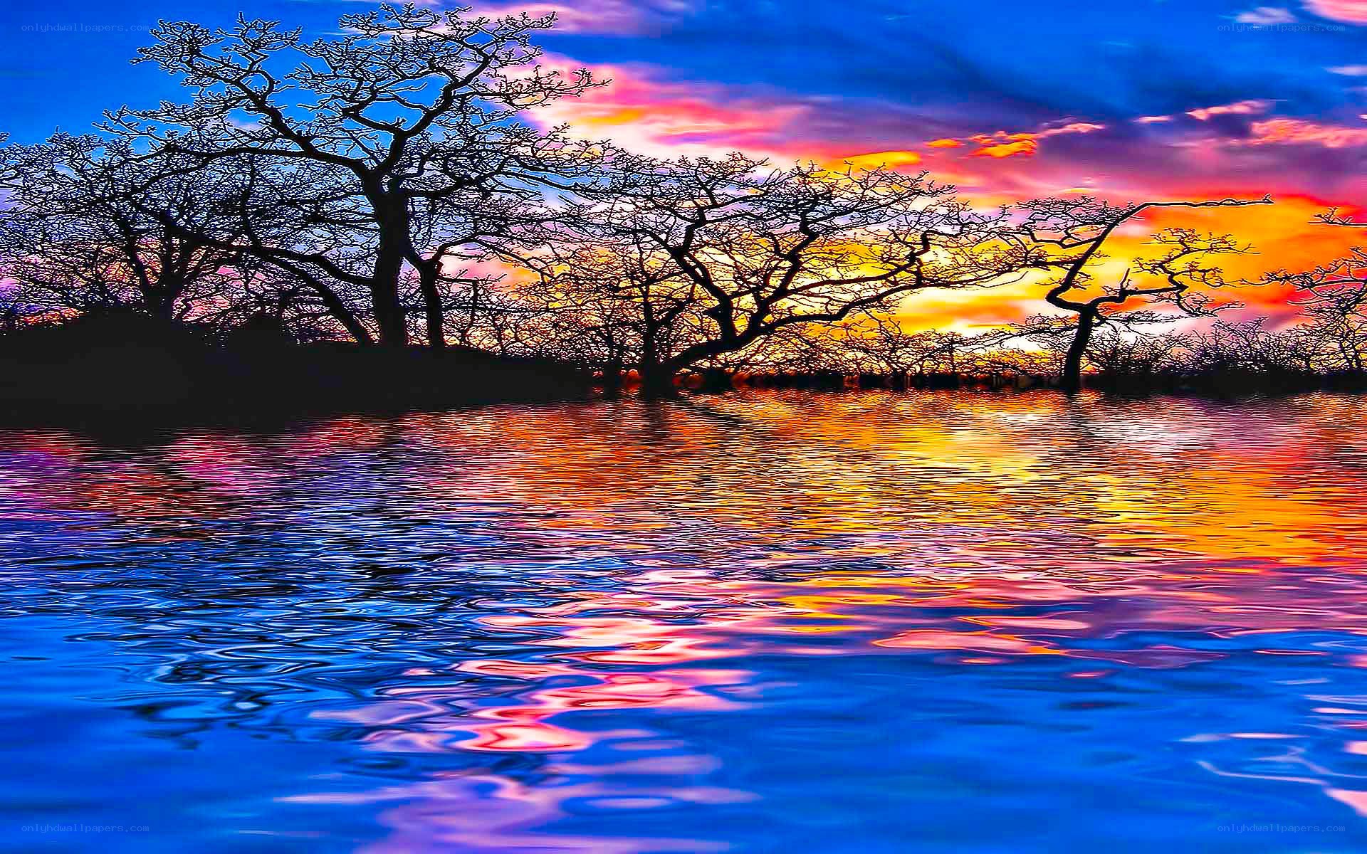 Vibrant sunset over water