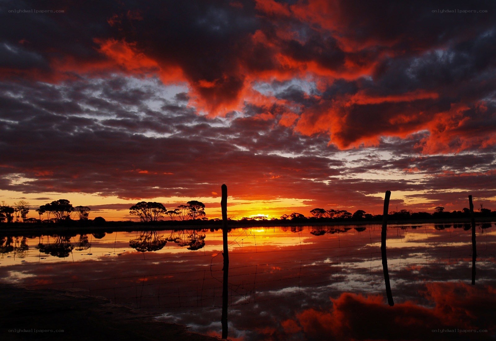 Vibrant sunset over water