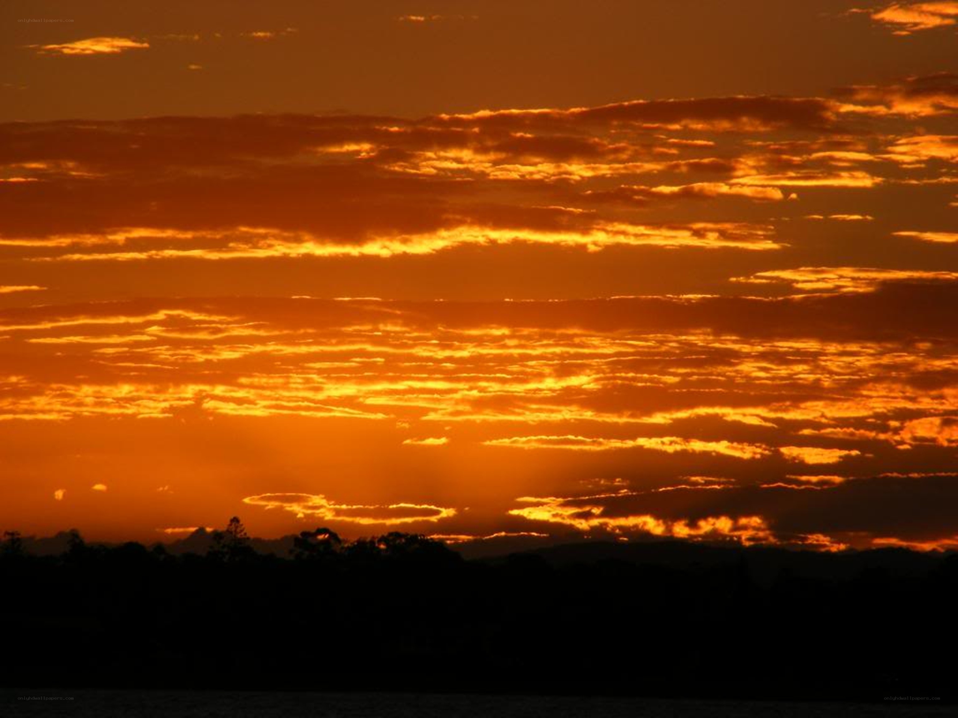 vibrant sunset over water