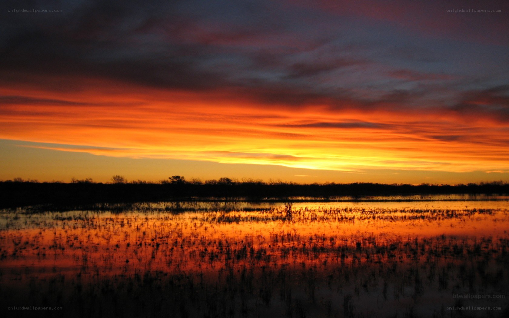 Vibrant sunset over wetlands