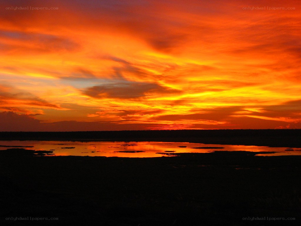 vibrant sunset over wetlands