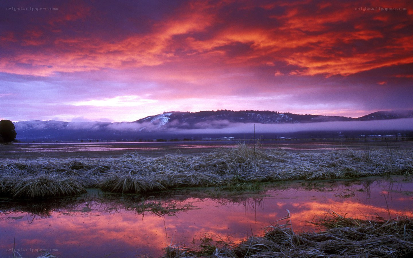 Vibrant sunset over wetlands