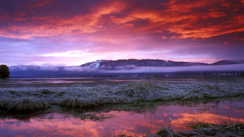 vibrant sunset over wetlands
