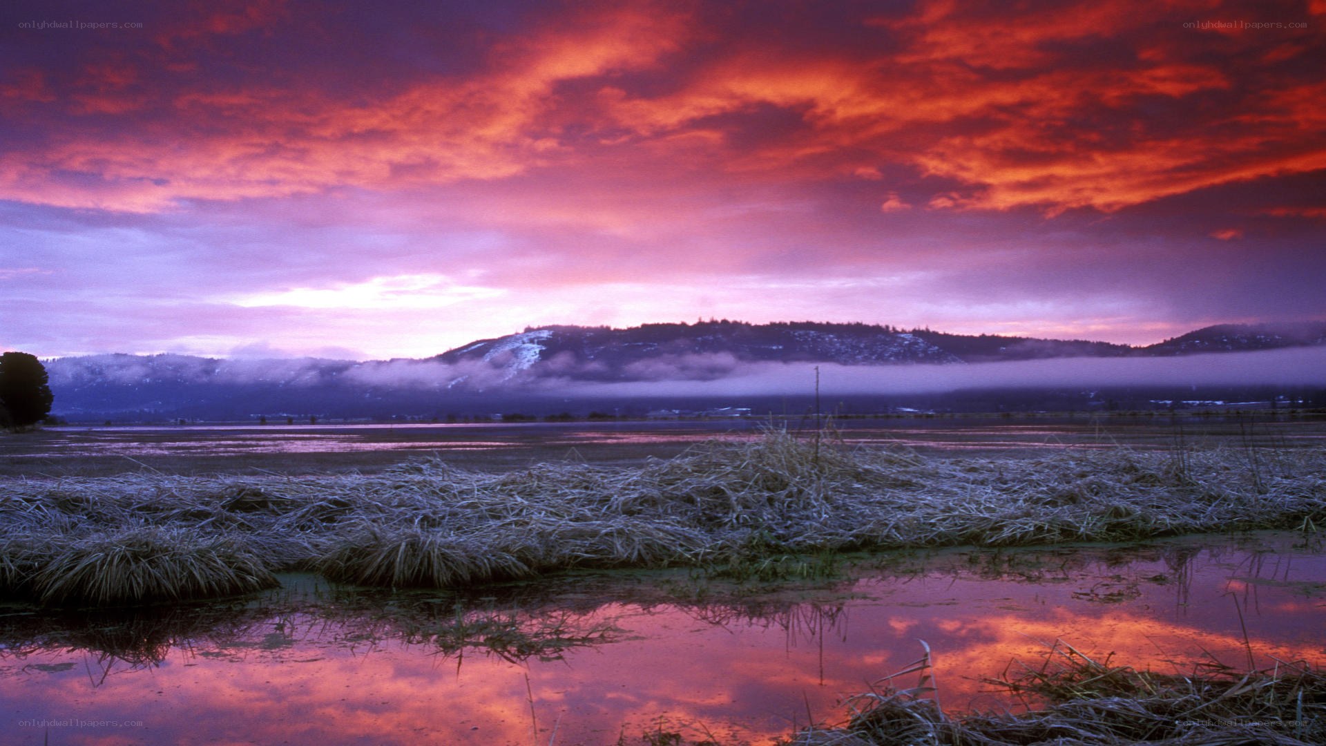 vibrant sunset over wetlands