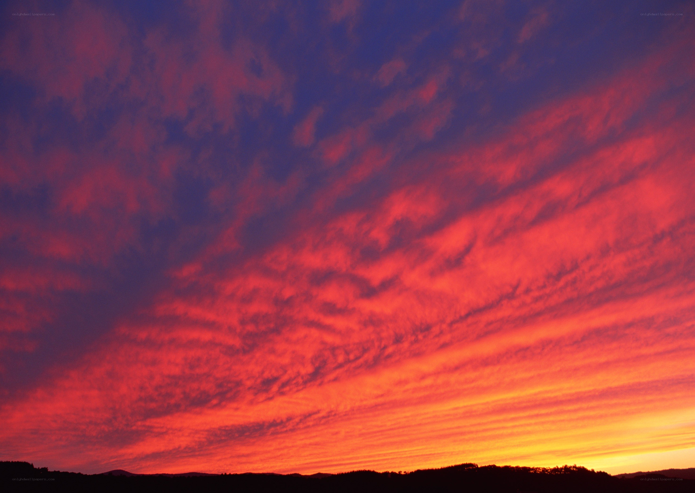 Vibrant sunset sky