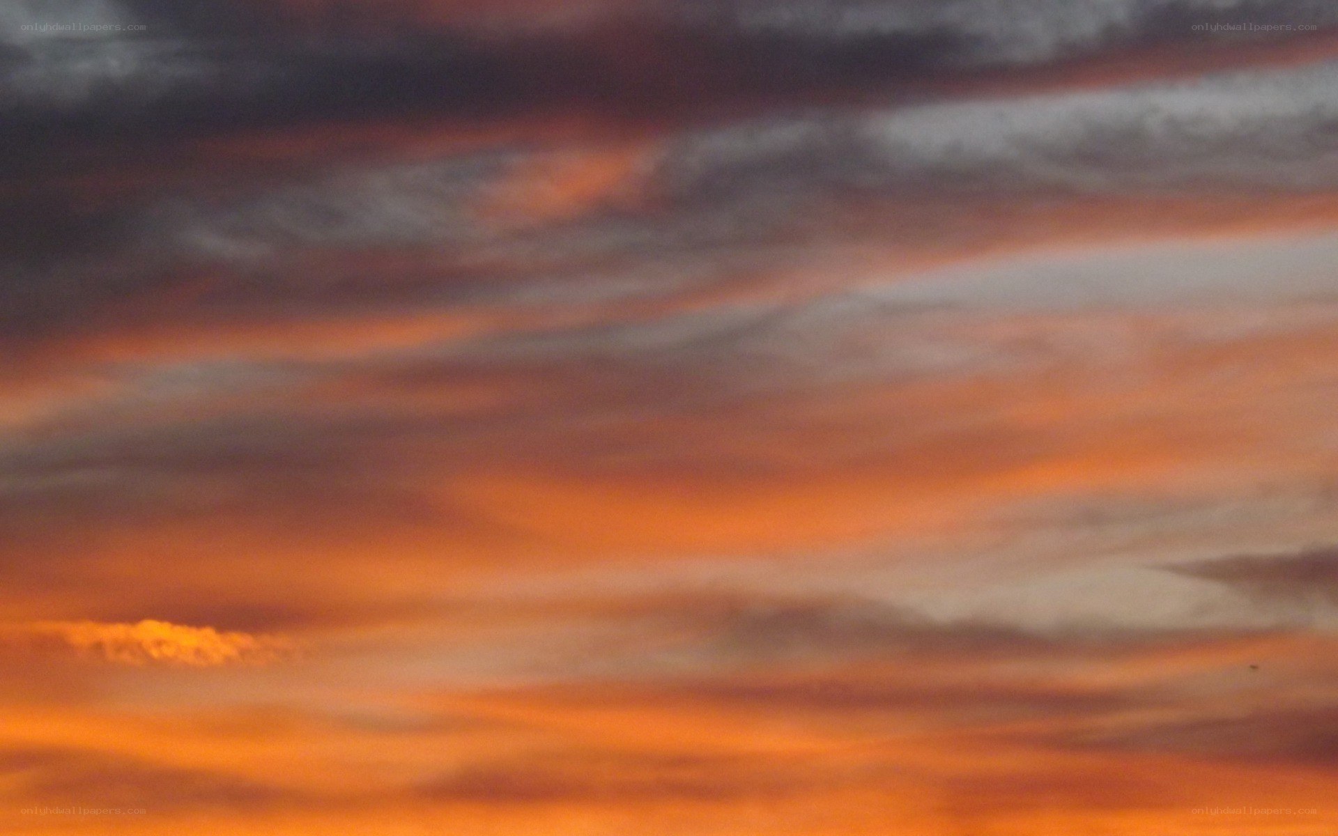 vibrant sunset sky