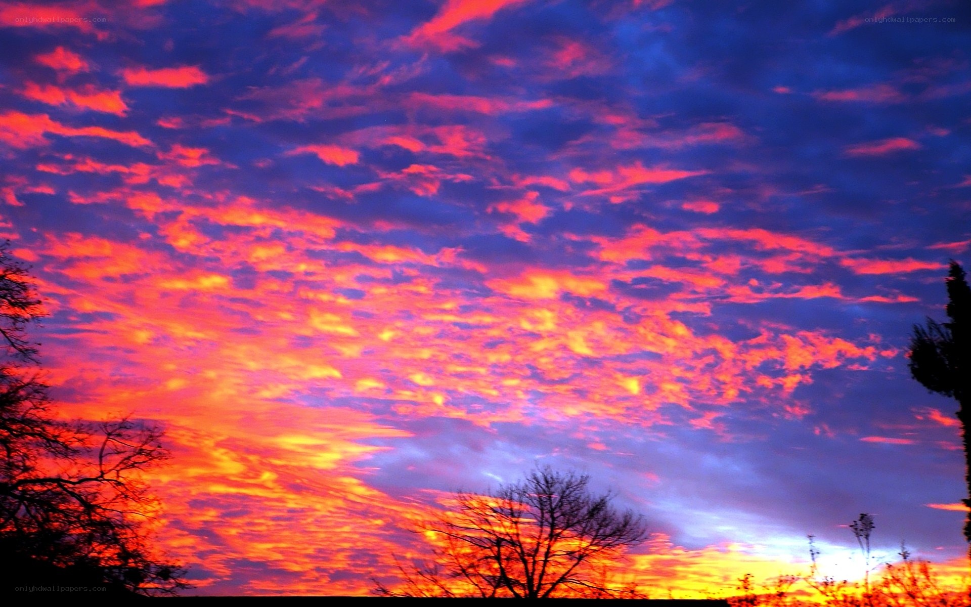 vibrant sunset sky