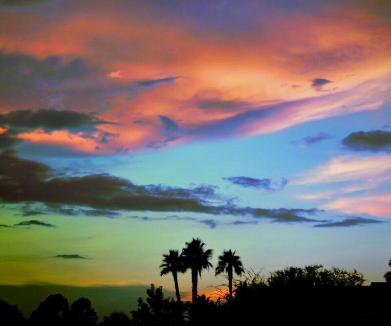 vibrant sunset with palm trees