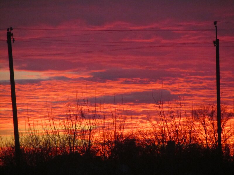vibrant sunset with power lines