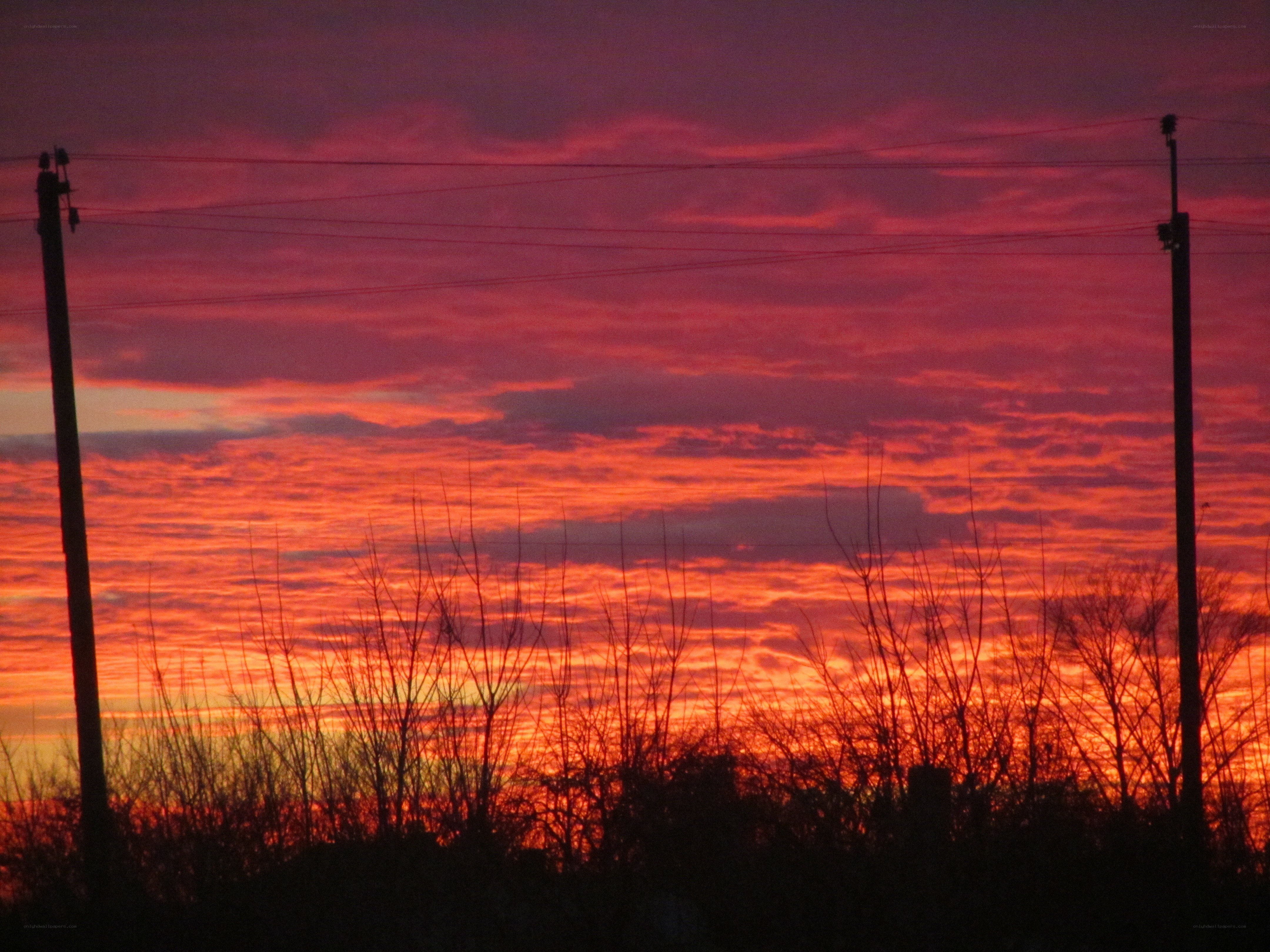 vibrant sunset with power lines