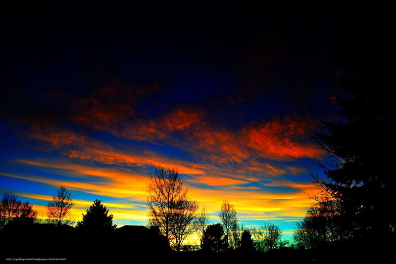 Vibrant sunset with silhouetted trees