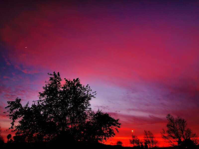 vibrant sunset with silhouetted trees