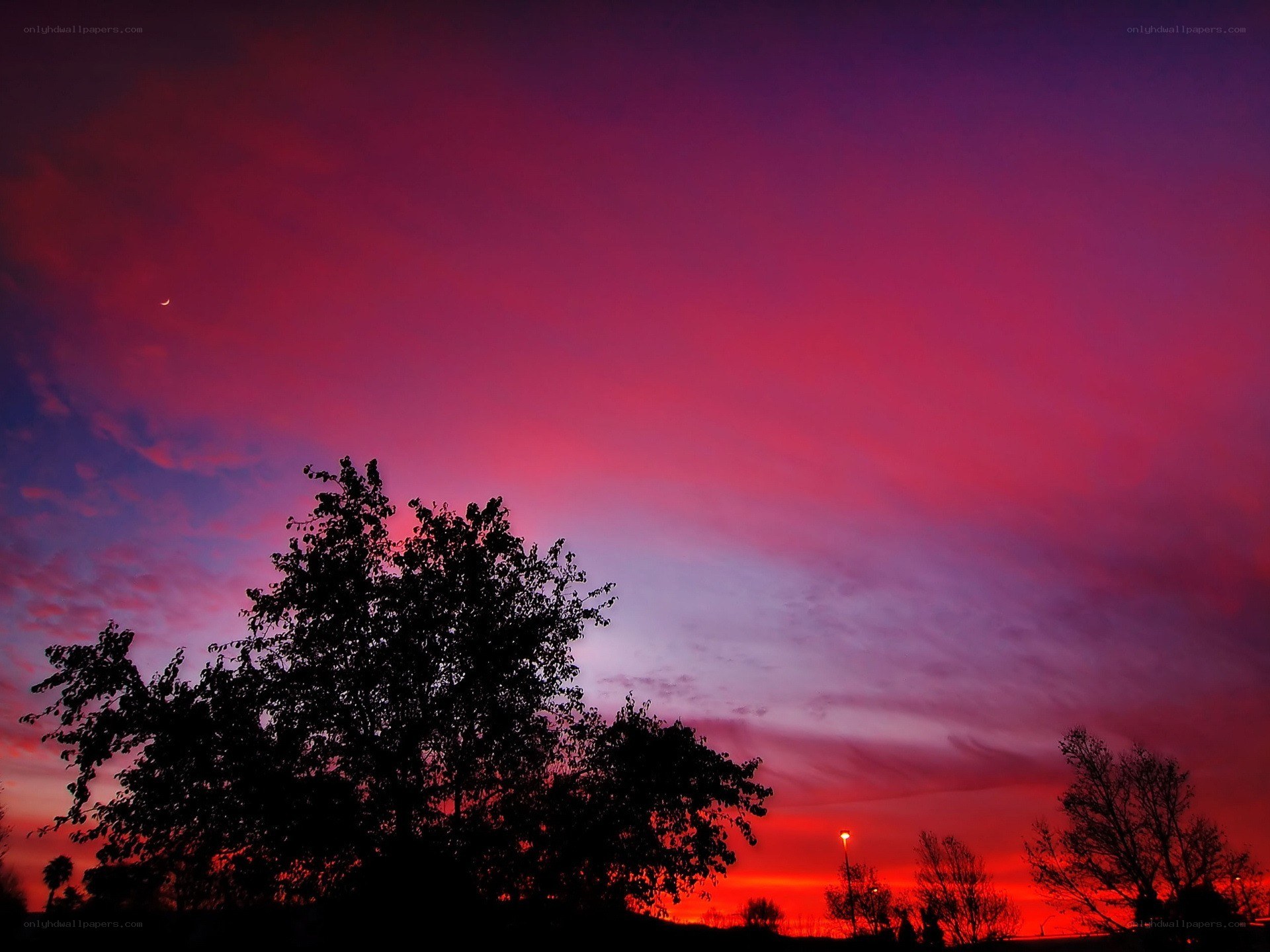 vibrant sunset with silhouetted trees