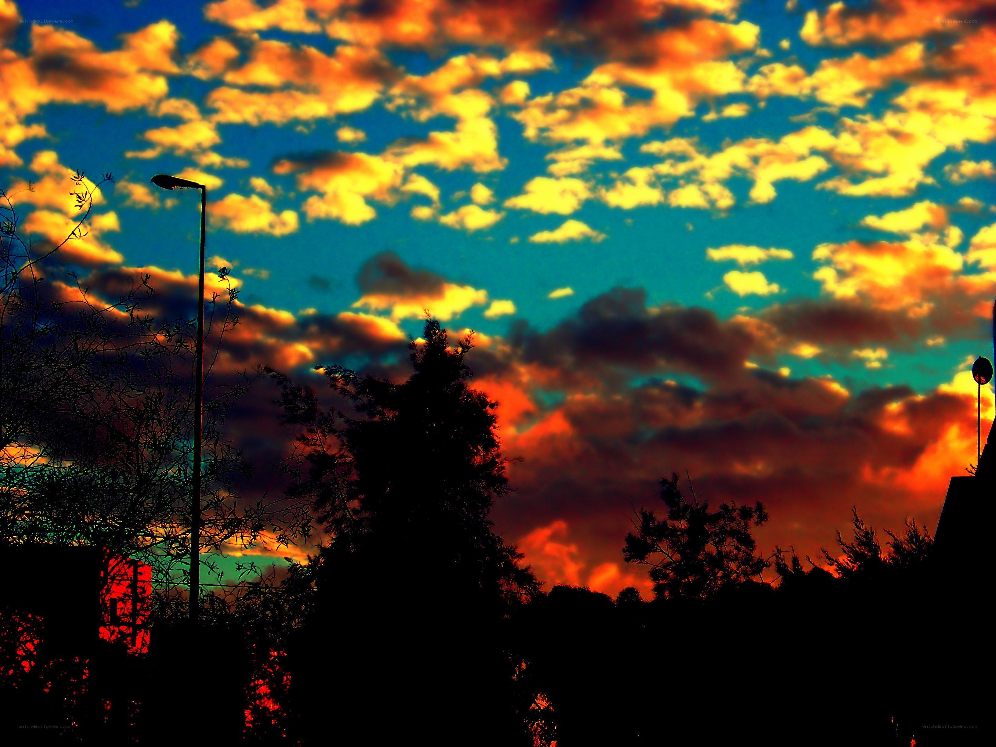 Vibrant sunset with silhouetted trees