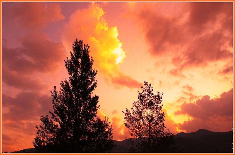 Vibrant sunset with silhouetted trees