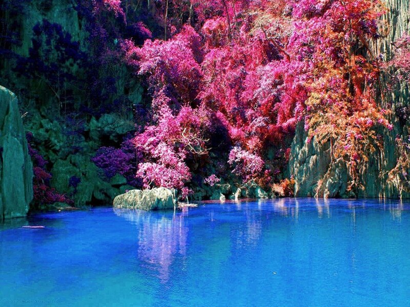 Vibrant Trees by Blue Lake