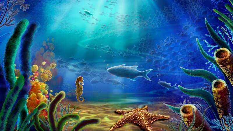 vibrant underwater coral reef