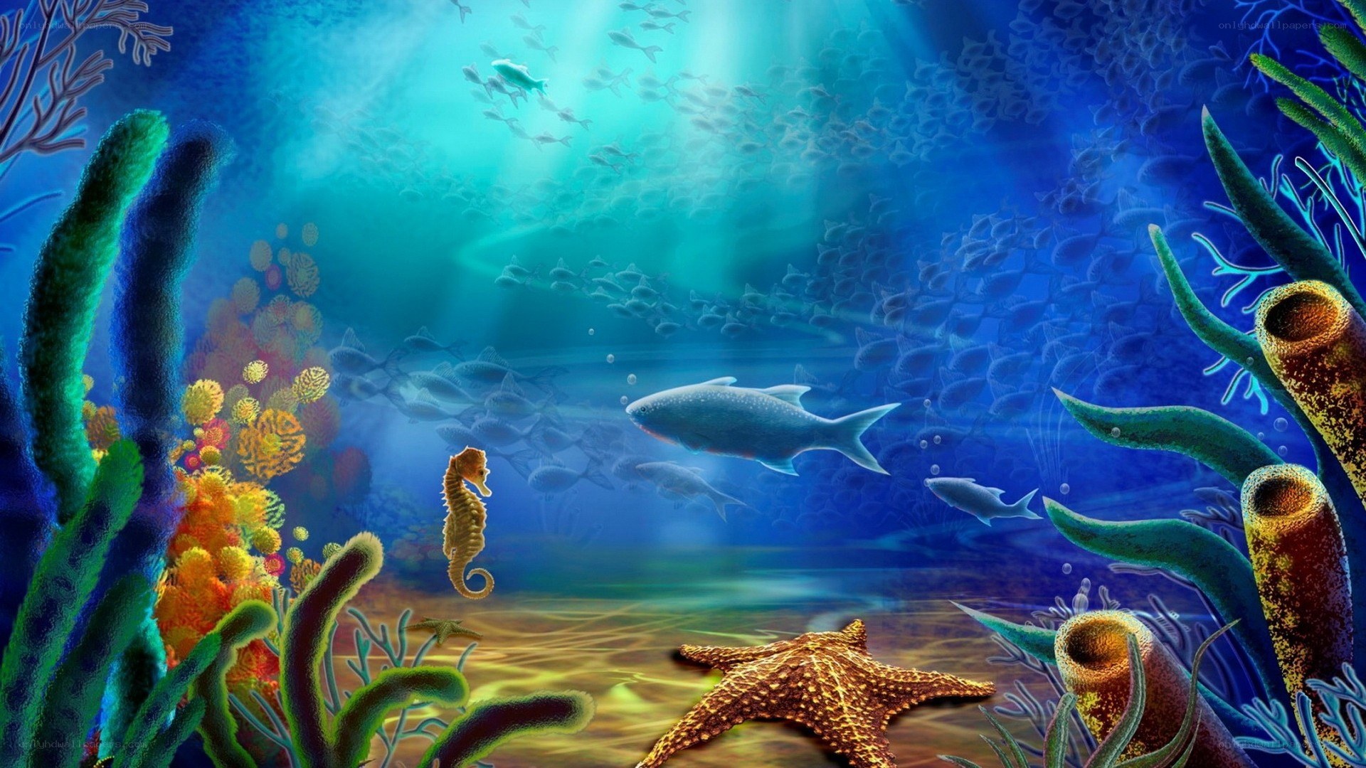 vibrant underwater coral reef