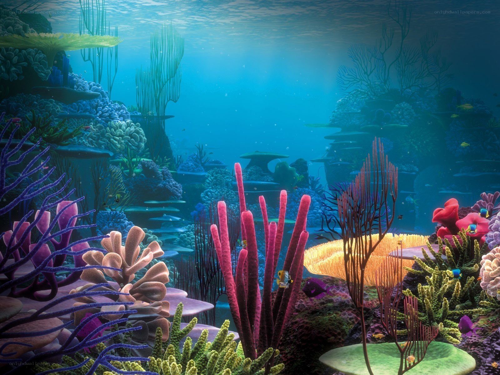 vibrant underwater coral reef