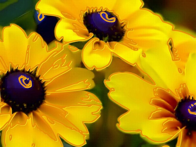 vibrant yellow flowers