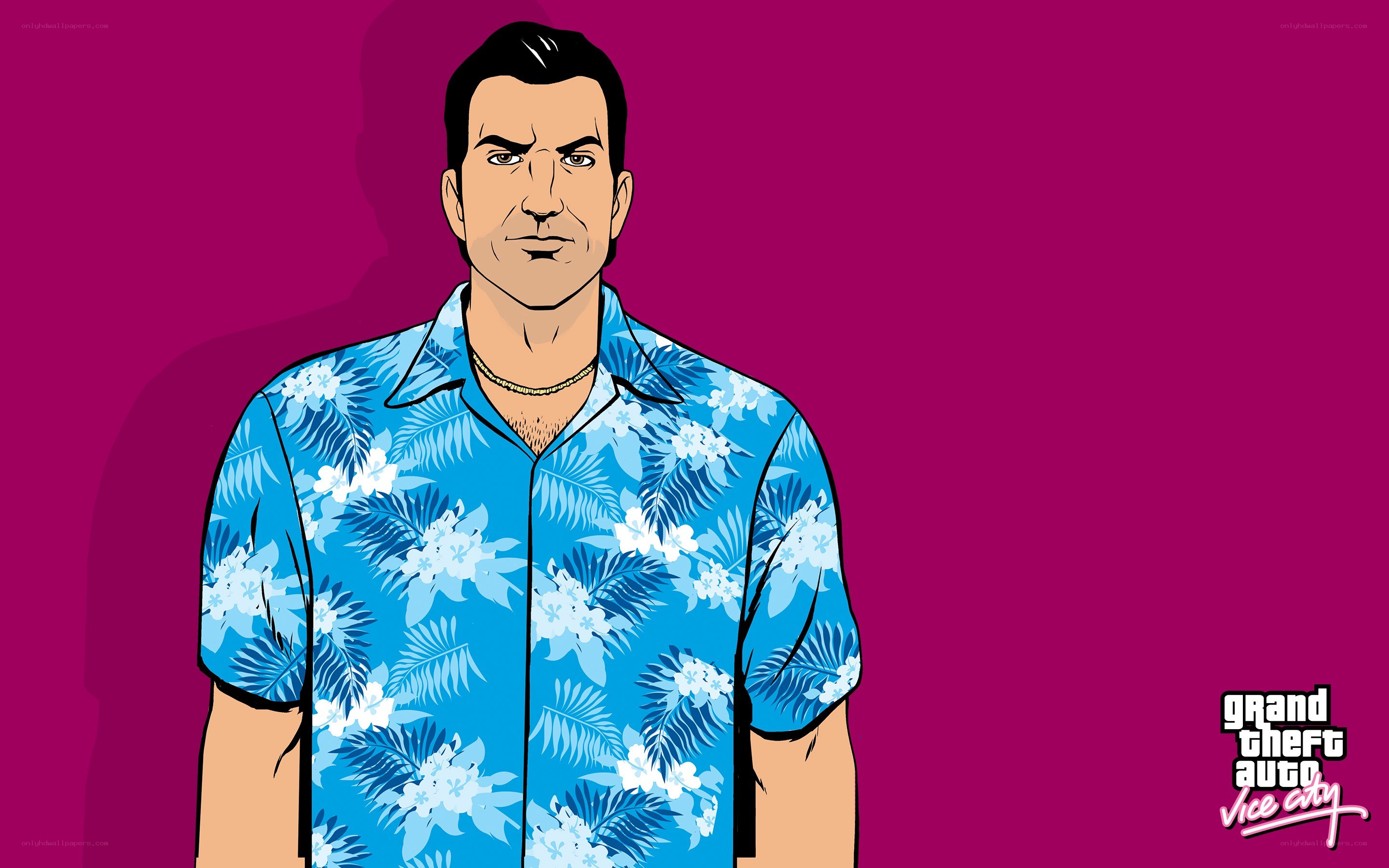 Vice City character illustration