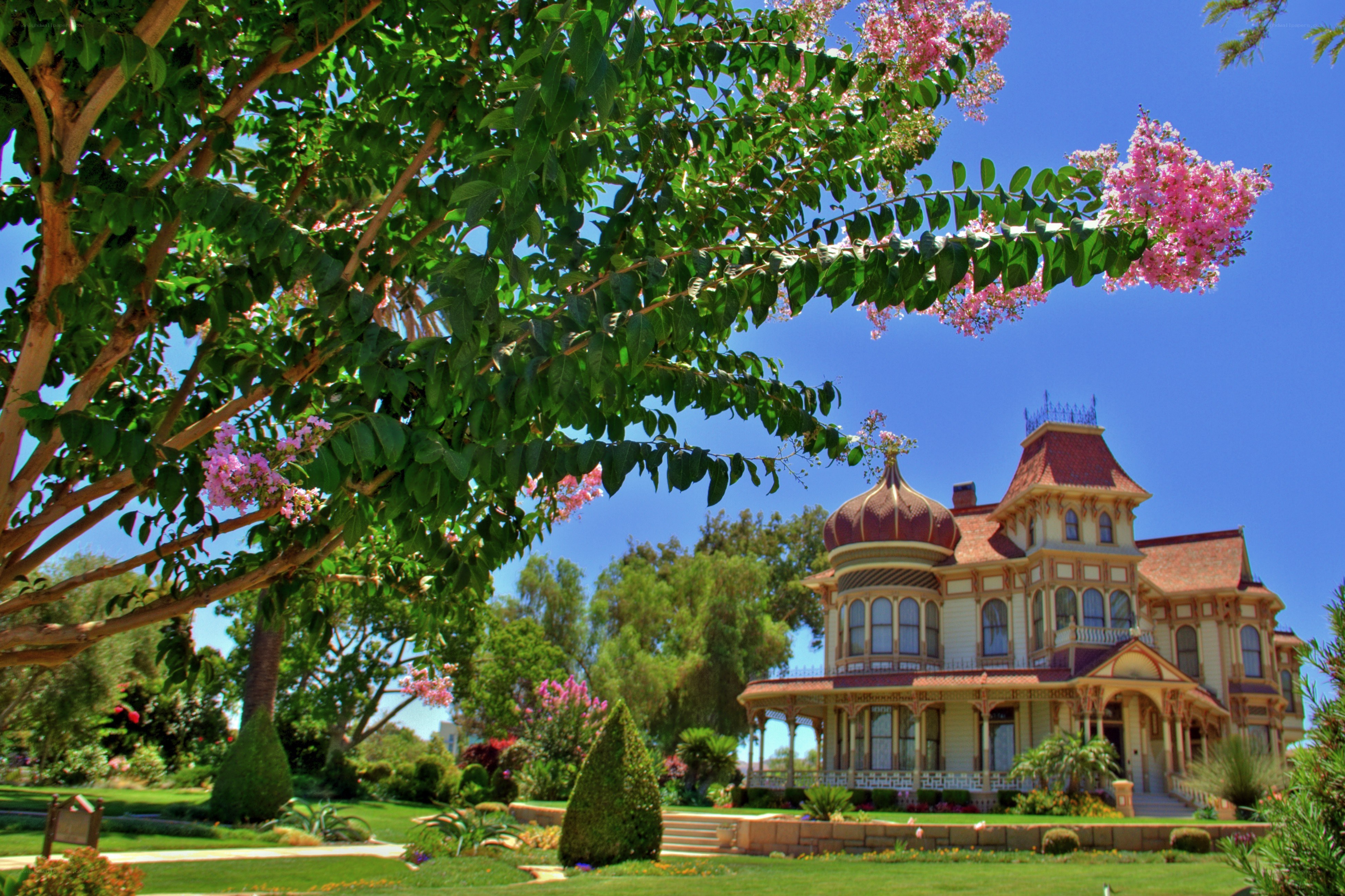 Victorian house with pink flowers