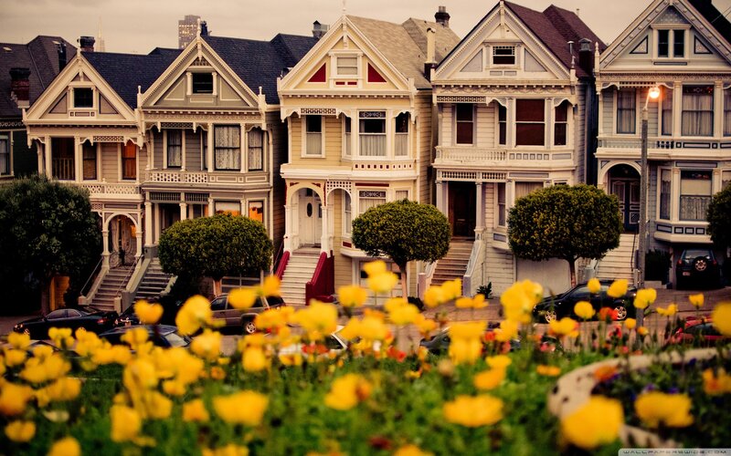 Victorian houses with yellow flowers