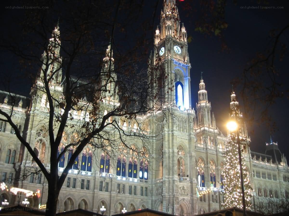 Vienna City Hall at night