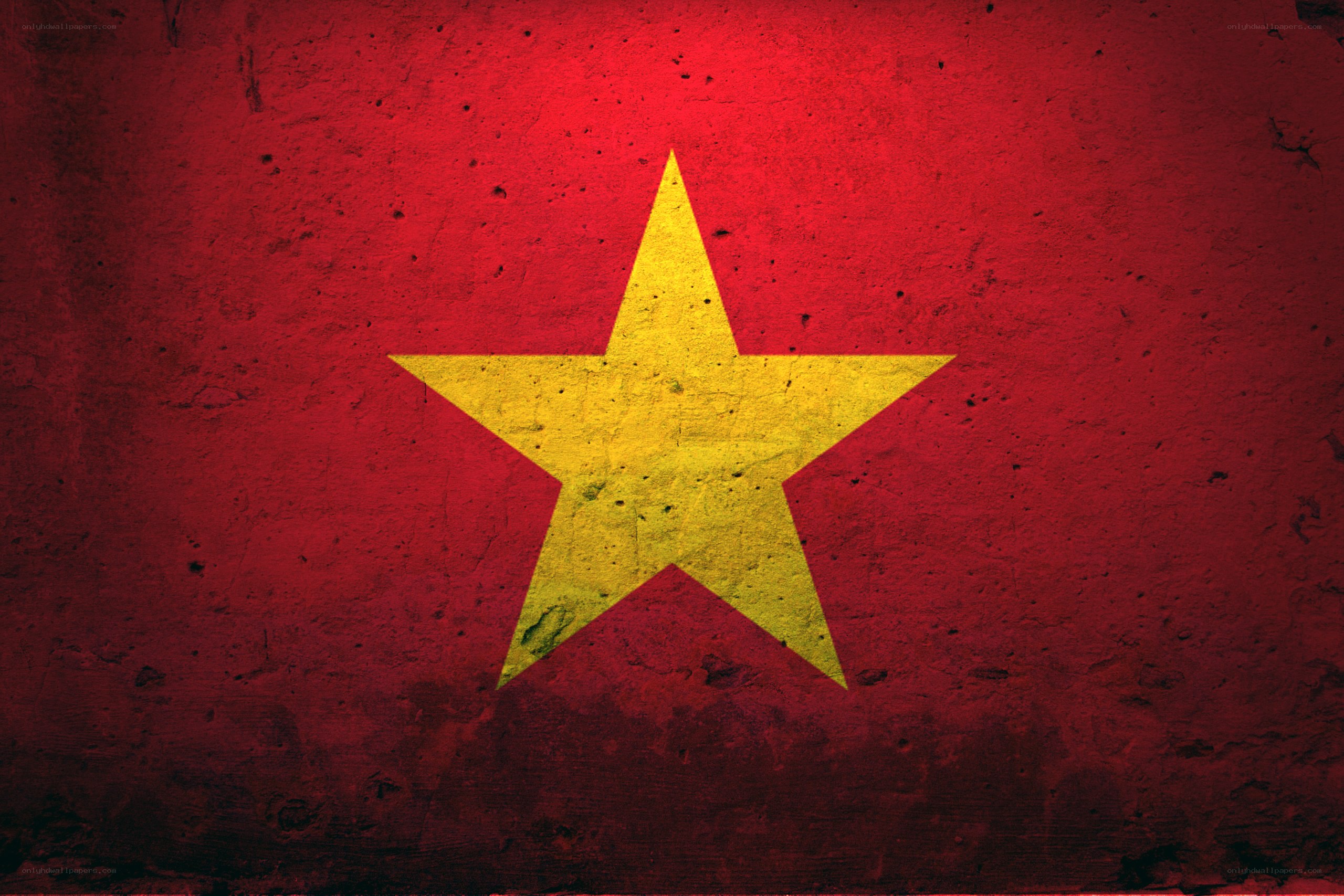 Vietnam flag on textured wall