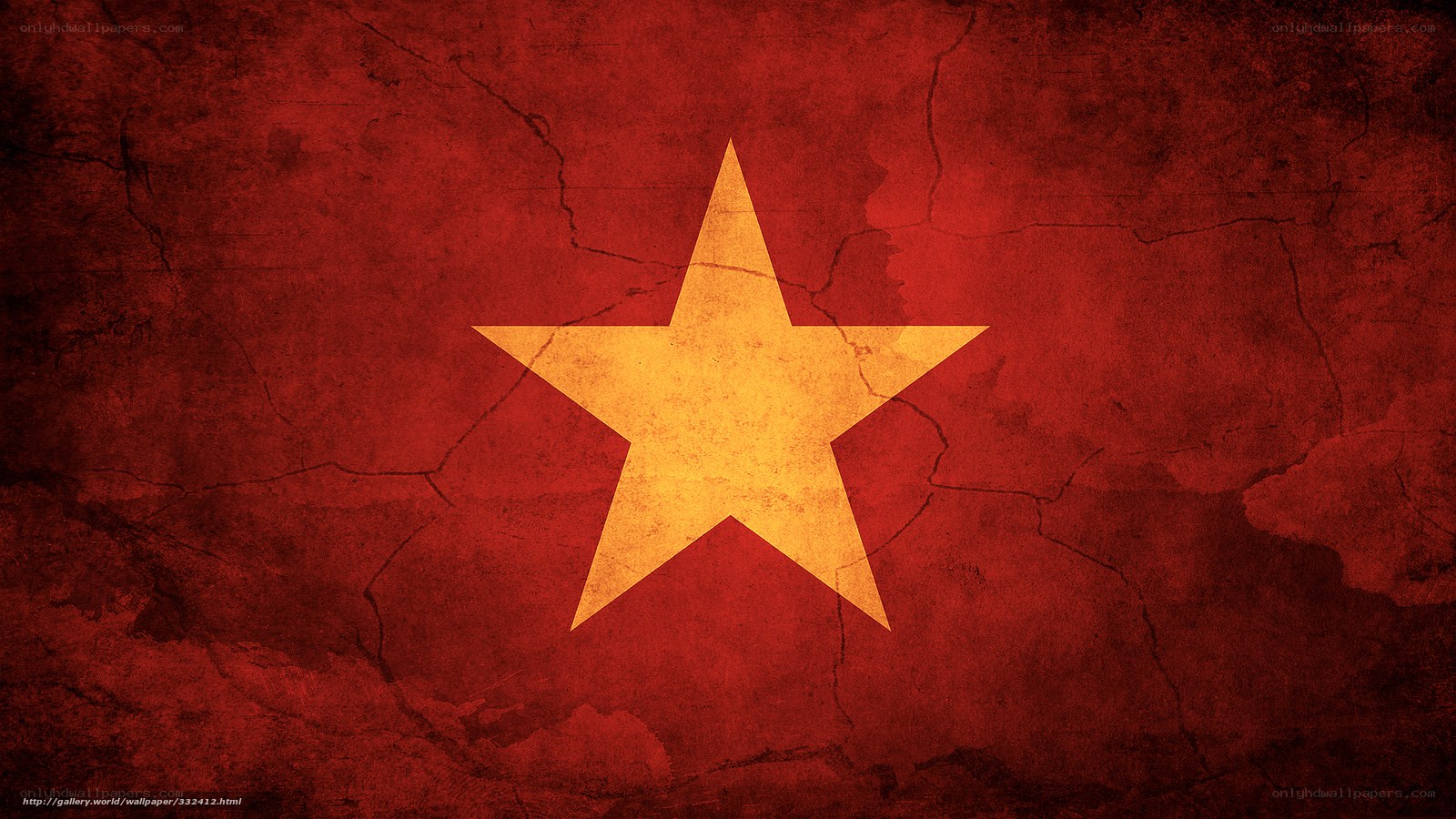 Vietnam flag with star
