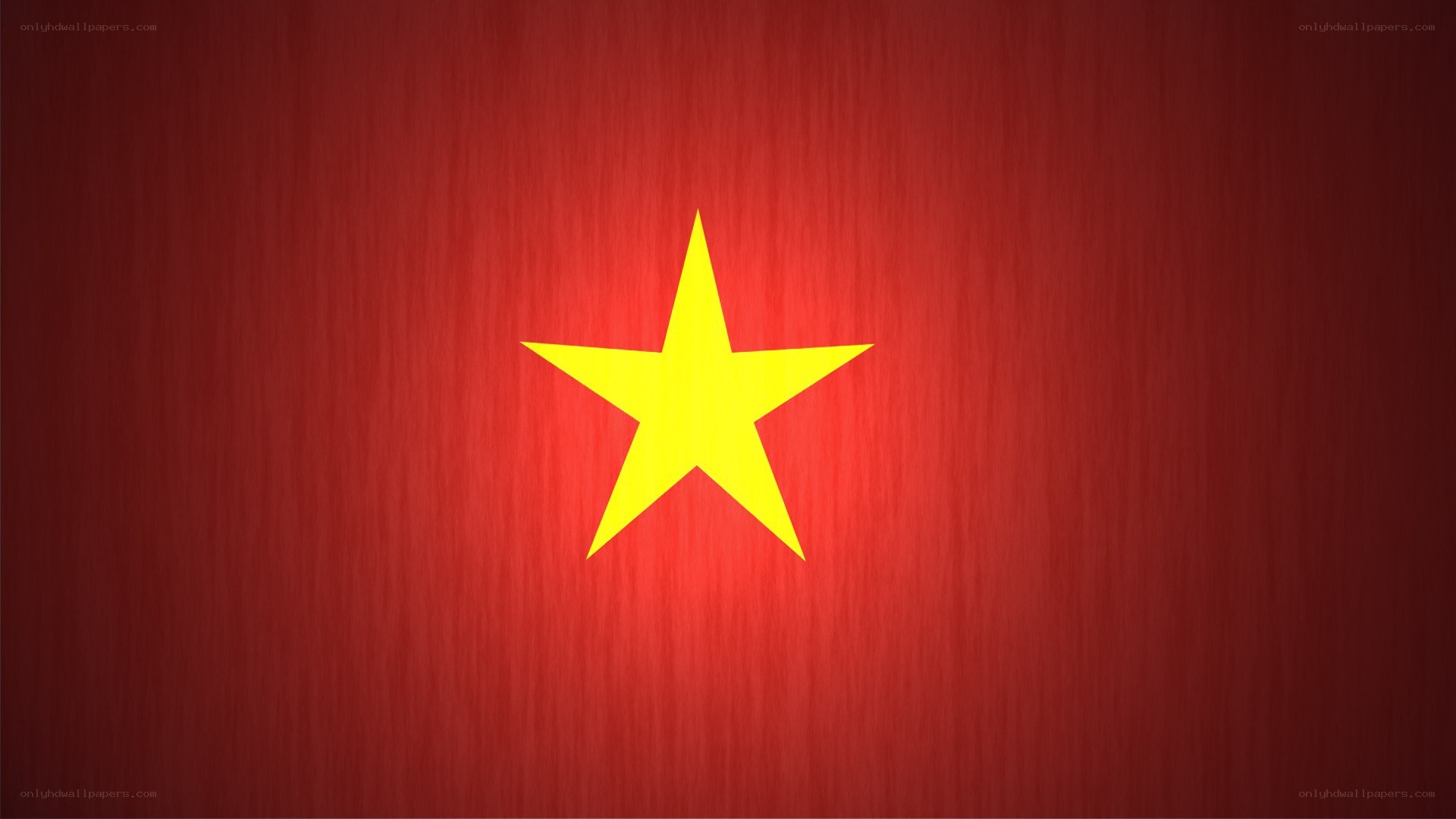 Vietnam flag with star