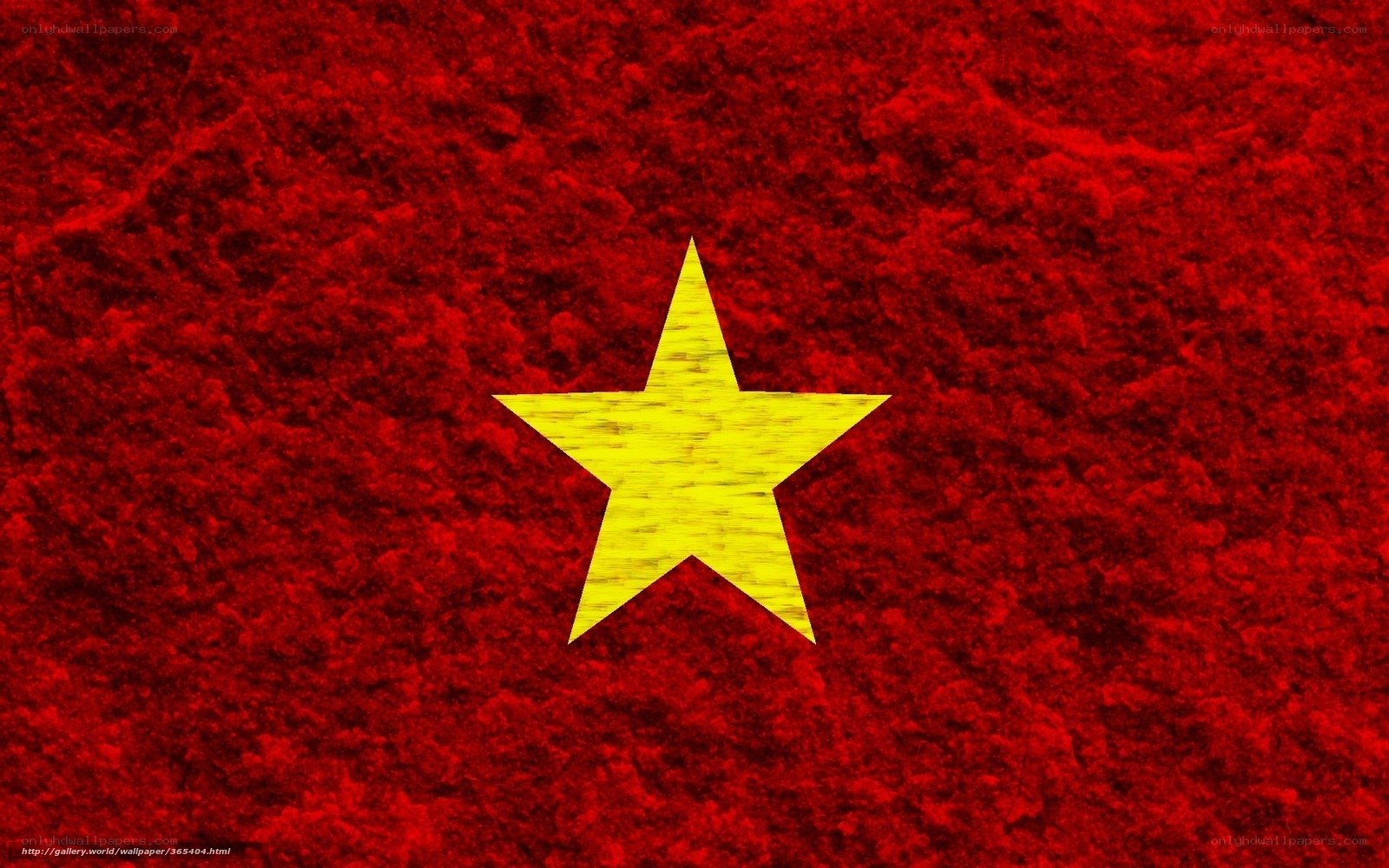 Vietnam flag with textured background