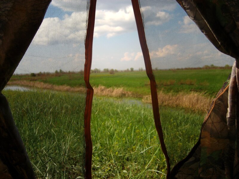 View from a hunting blind
