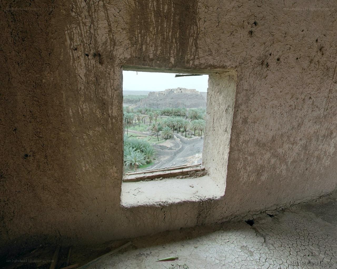 View from a ruined window