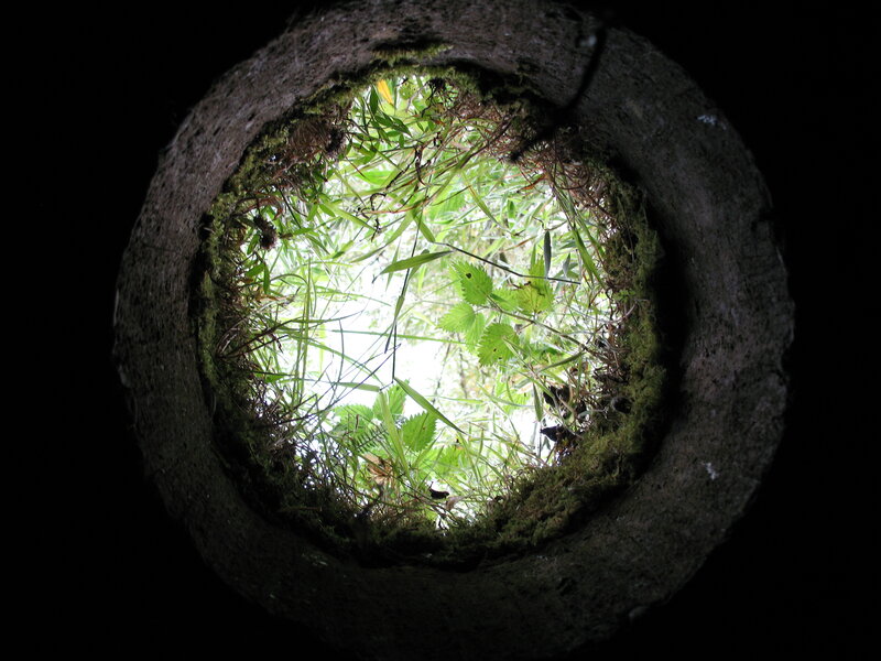 view from a well opening