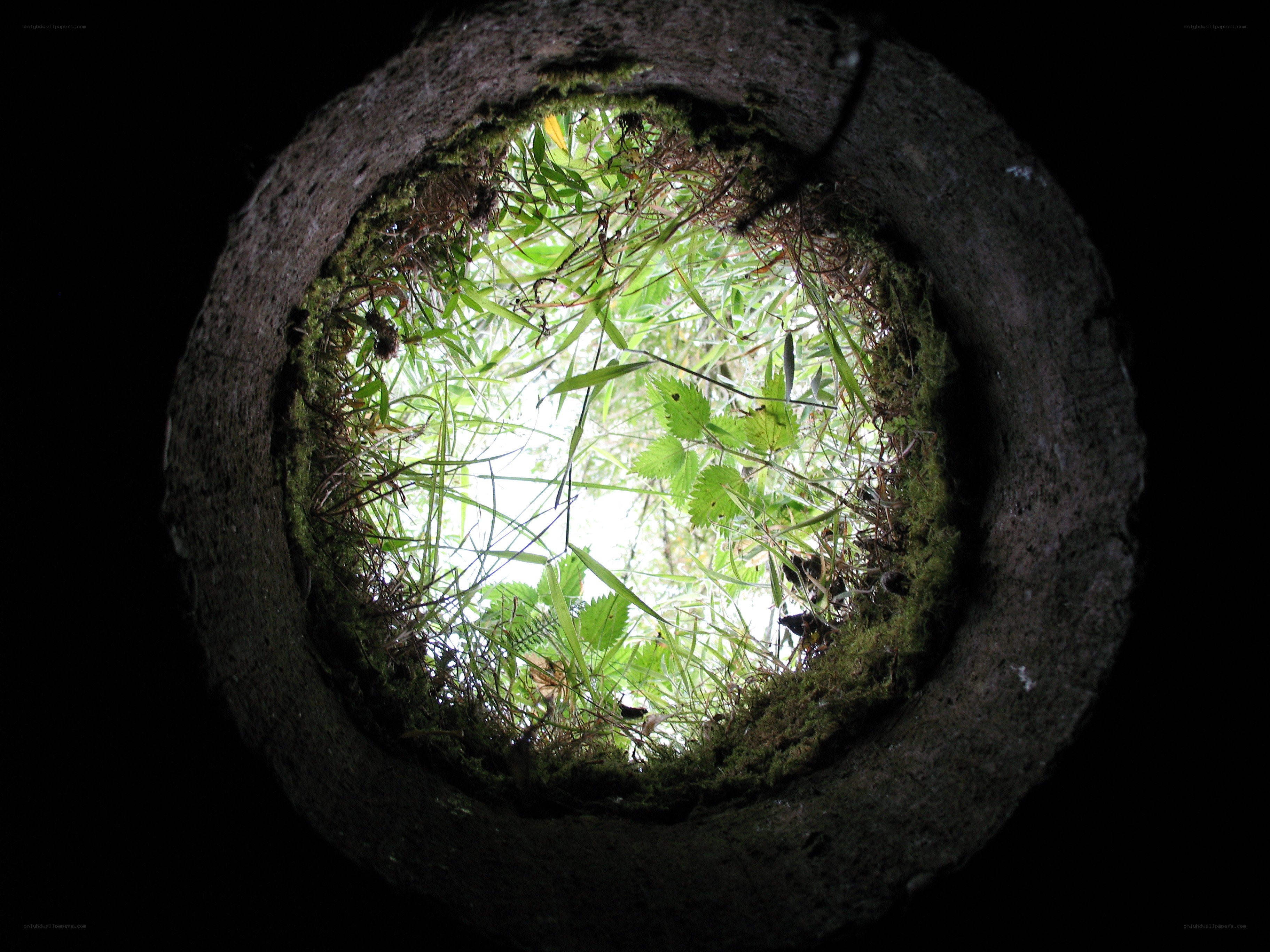 view from a well opening