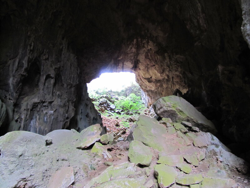 View from inside a cave