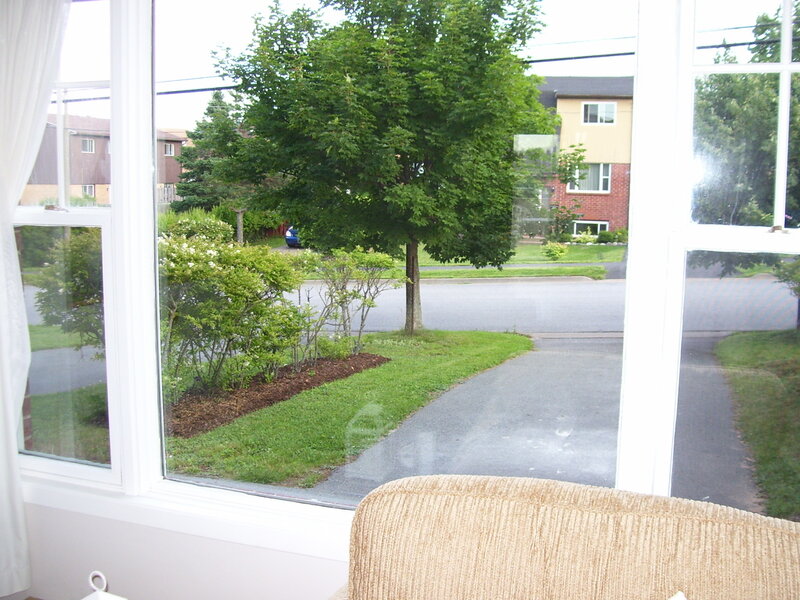 View from living room window