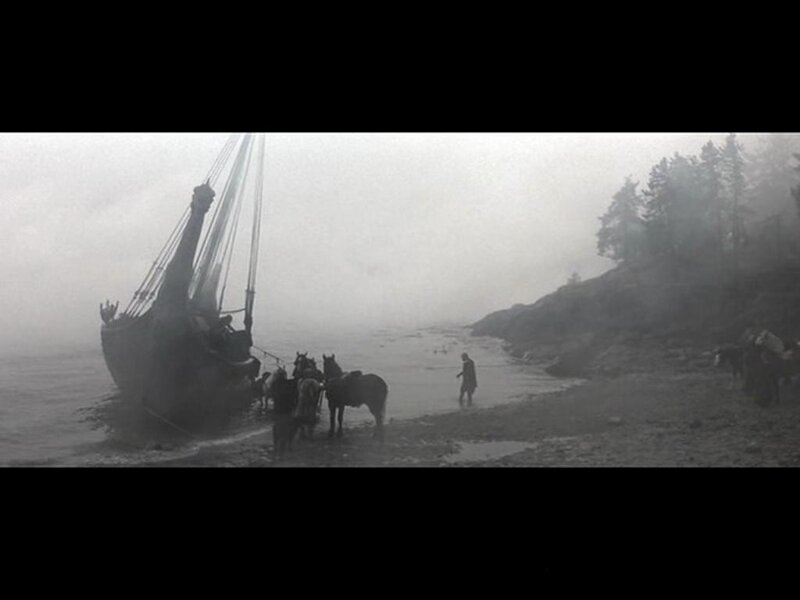 Viking ship on shore