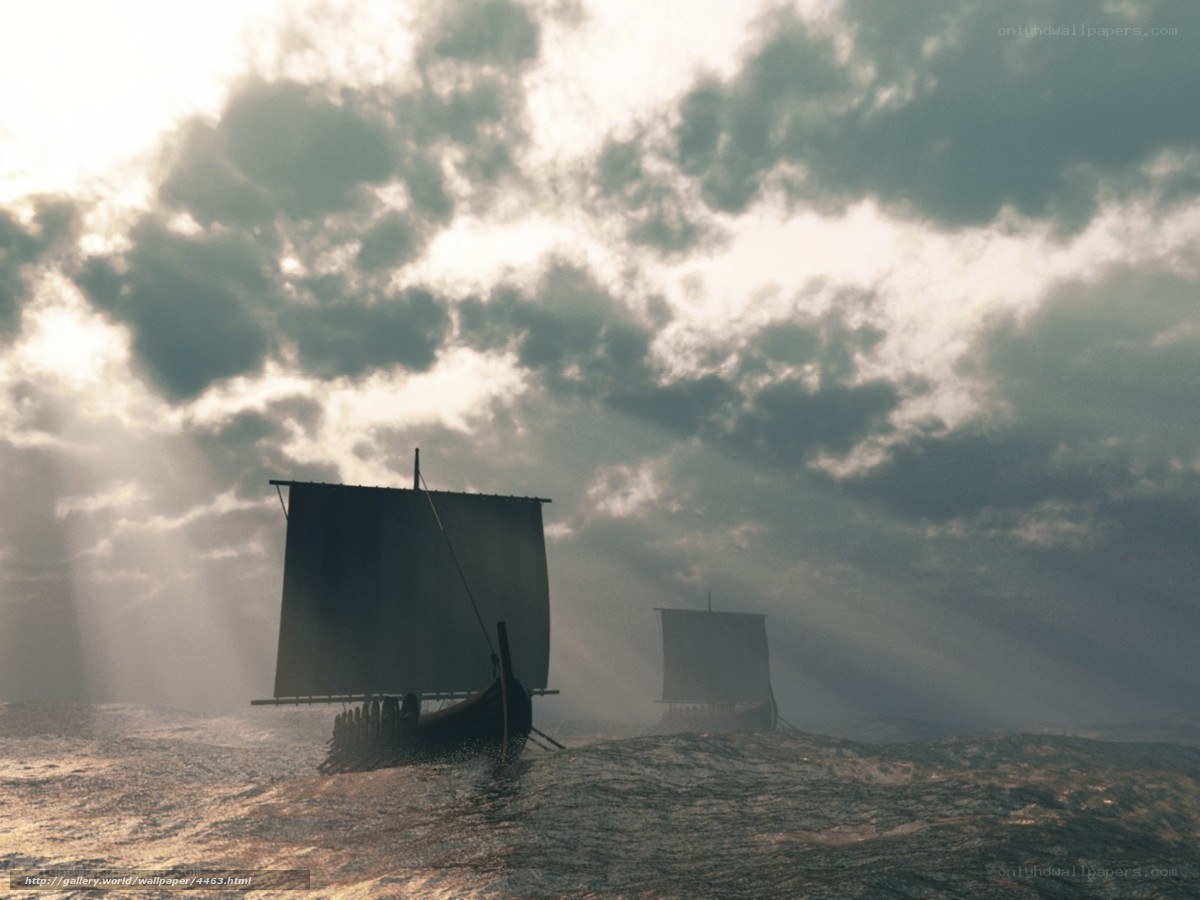 Viking ships at sea