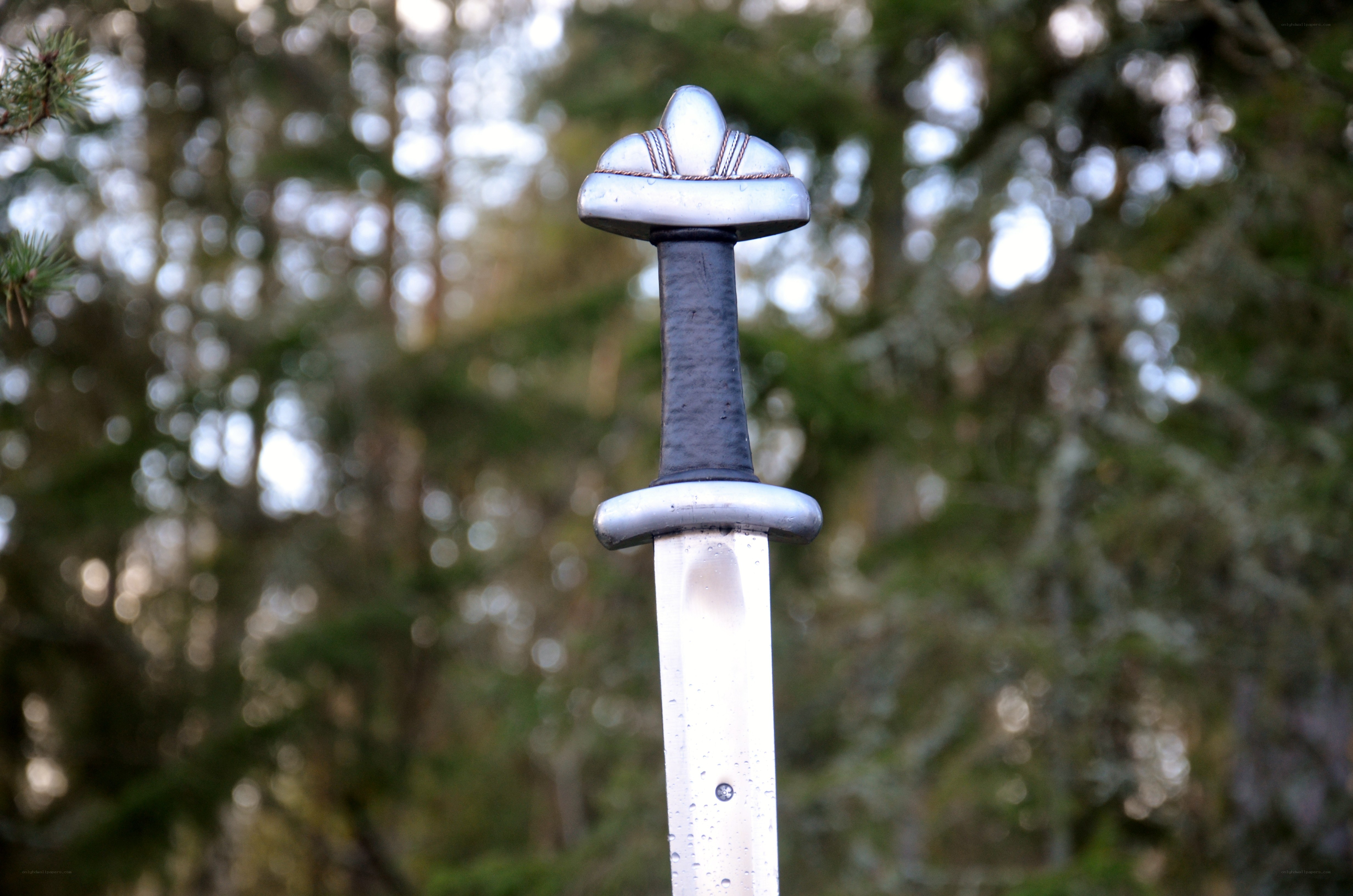Viking sword in forest